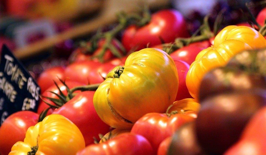 Markets in Vence, Alpes Maritimes: market days, schedules