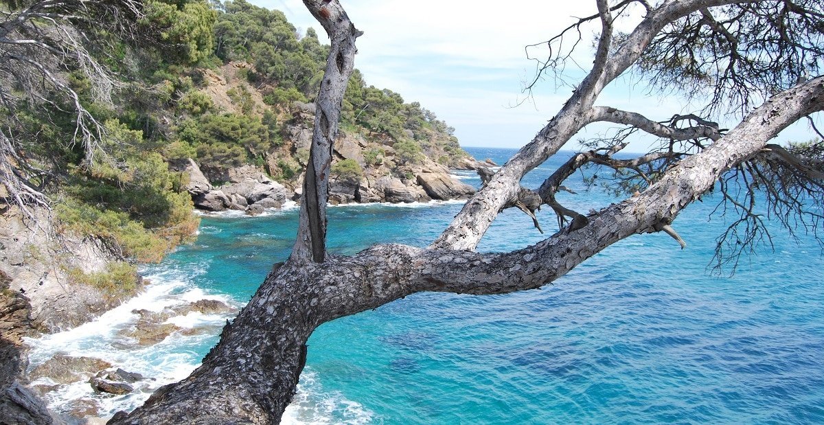 Visit the French Riviera: the 25 best things to do