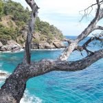Visit the French Riviera: the 25 best things to do
