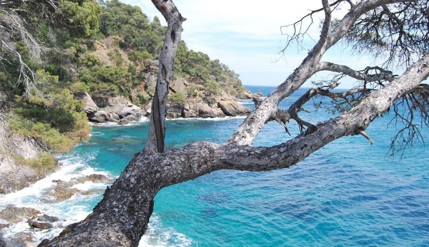 Visit the French Riviera: the 25 best things to do